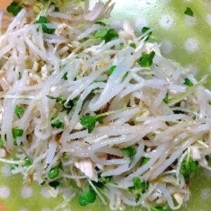 簡単でうまい！鶏ささみともやしの中華サラダ